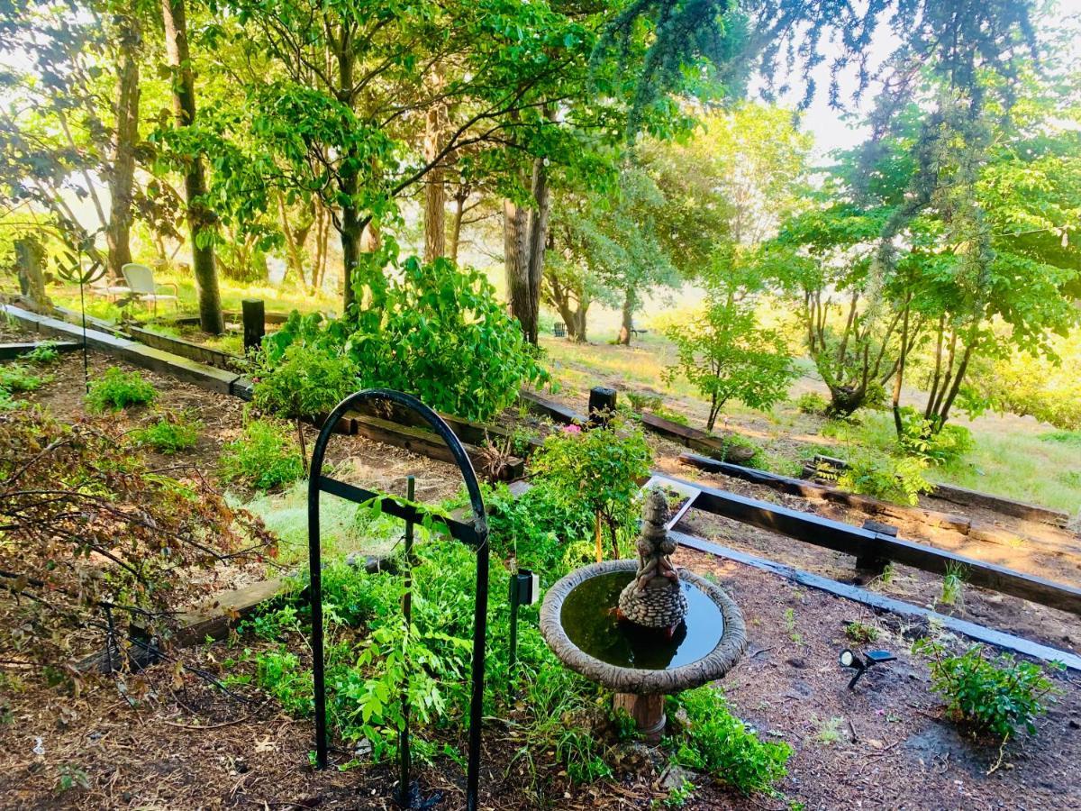 100 Mile View-Fire Pit, Romantic, Peaceful, Private Crestline Dış mekan fotoğraf