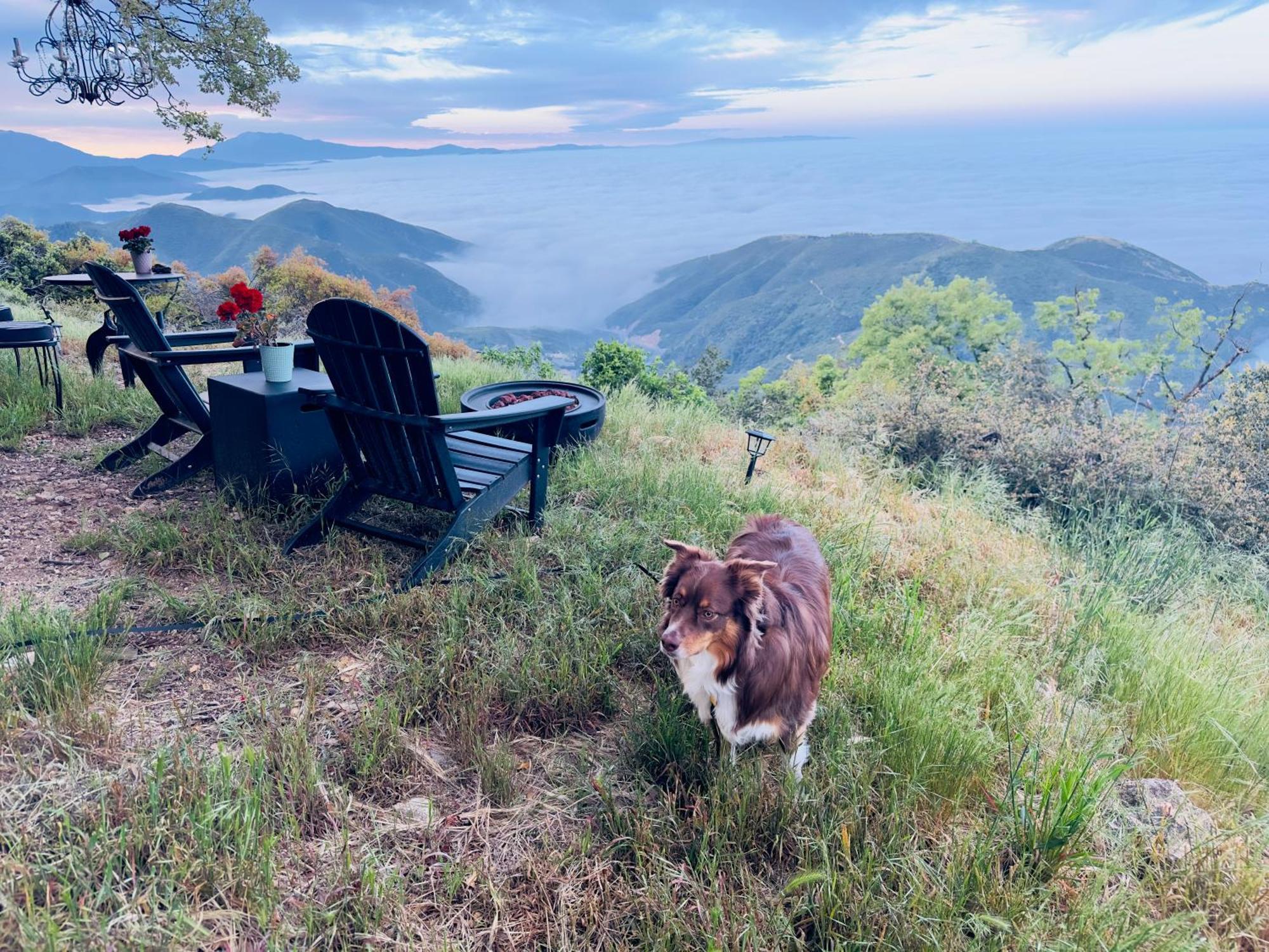 100 Mile View-Fire Pit, Romantic, Peaceful, Private Crestline Dış mekan fotoğraf